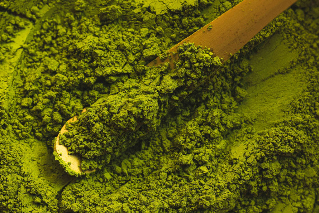 poudre de matcha de ceremonie